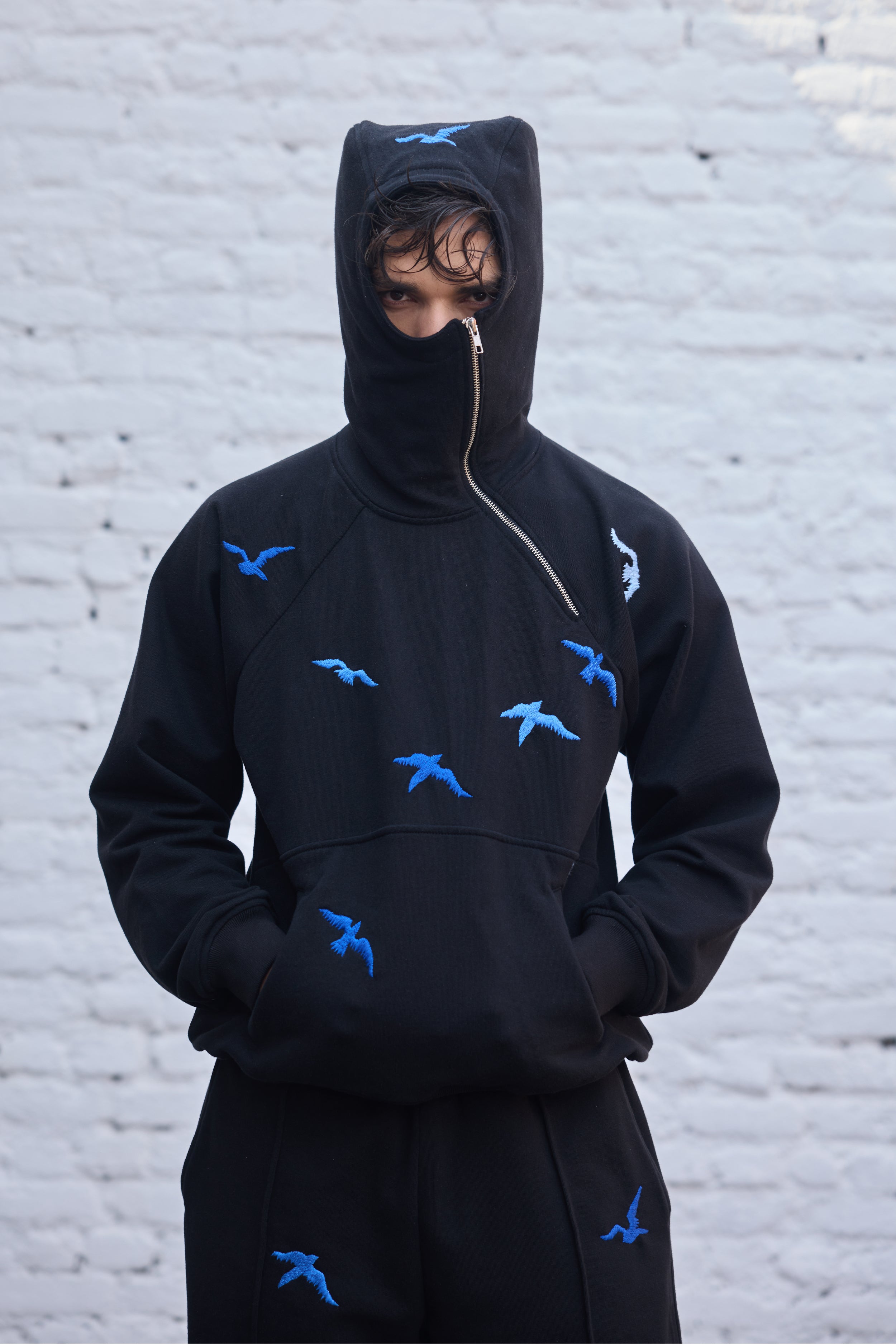 Raven Fly Hoodie – WASTED WRLD