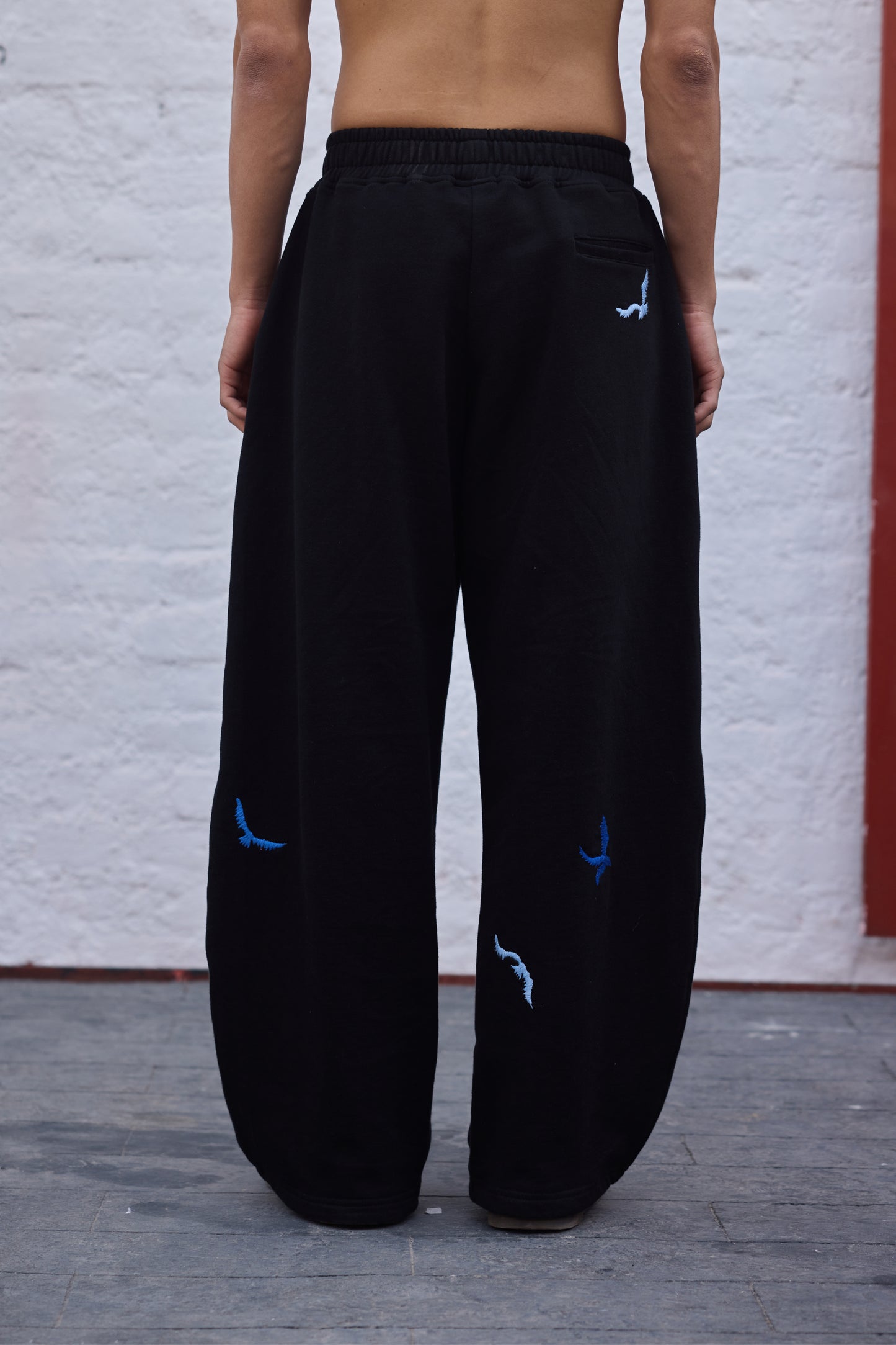 Raven Fly Joggers